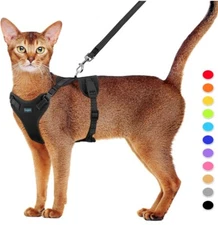 Cat/Puppy Harness and Leash Set Adjustable,Reflective,Ez Put On (Small) 