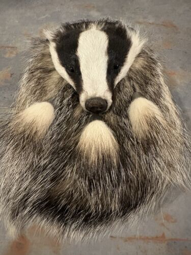 Full mask badger sporran