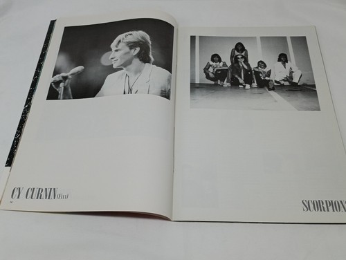 Viva Rock Magazine December 1983 Duran Duran Dabid Sylvian Van Halen - Picture 7 of 17