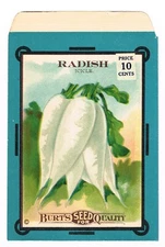 VINTAGE CARD SEED PACKET FLOWERS C1910 BURT RADISH ICICLE GARDENING FOLK ART