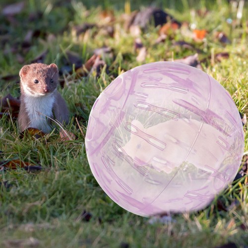 10CM Hamster Running Ball Run Exercise Ball Run-About Mini Ball for Small Animal - 第 12/12 張圖片