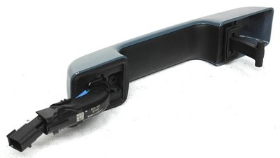 OEM Right Side Exterior Door Handle For Ford F150 Area 51 ML34
