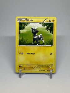 Pokemon TCG Blitzle Black & White Base Set 41/114 Regular Common Card