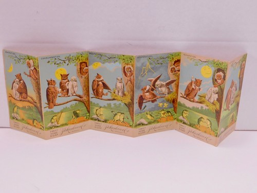 Antique Larkin Sweet Home Soap Fold Out Trade Cards Owl Family Frogs 1886