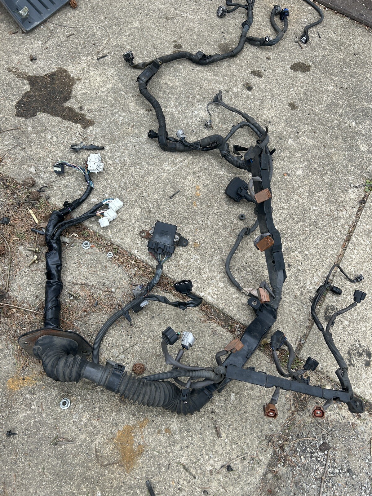 Picture 8 of 9