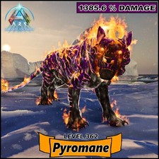 Ark Survival Ascended PC/PS5/XBOX Official PVE🔥PYROMANE  1385.6% Damage Lvl 362