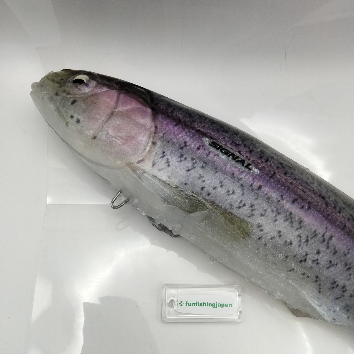 Signal Ultra Carp Rainbow Trout Giant swimbait Japan fishing lure