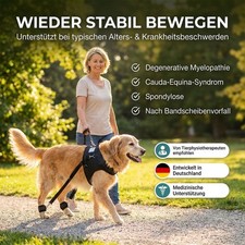 Trainingsgeschirr für kranke Hunde / Rehages...