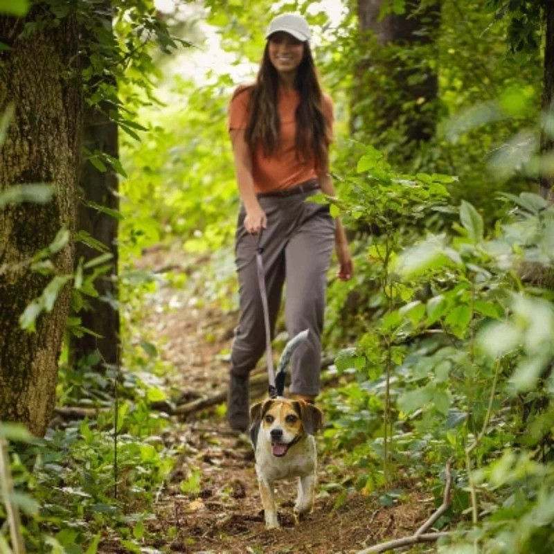 Nature's Recipe Receta Sin Granos Raza Pequeña Adulto Comida Seca para Perros Foto 4 de 4