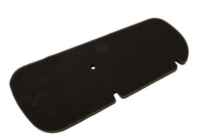 Luftfilter Filtereinsatz RMS für Honda FES