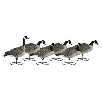 New Dakota Decoy Canada Goose Flocked Upright Decoys 6-Pack With 6 Bags