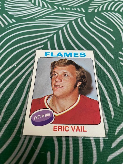 1975-76 Topps - Eric Vail #135 - FREE SHIPPING