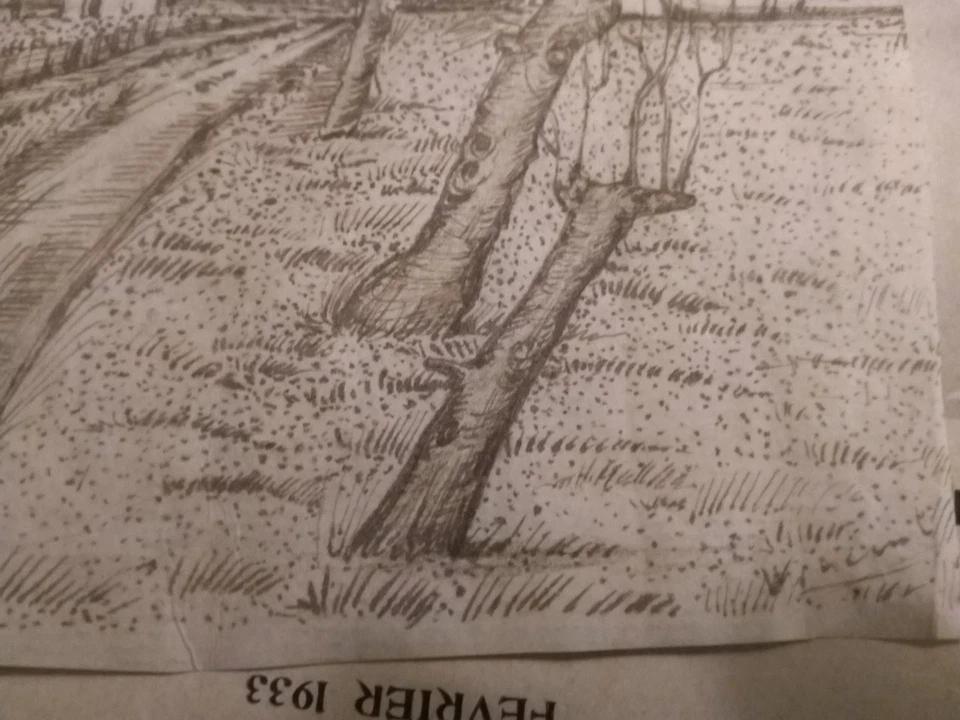 VINCENT VAN GOGH Paisaje Rural Dibujo a Mano en Tinta sobre Papel Firmado Foto 3 de 4