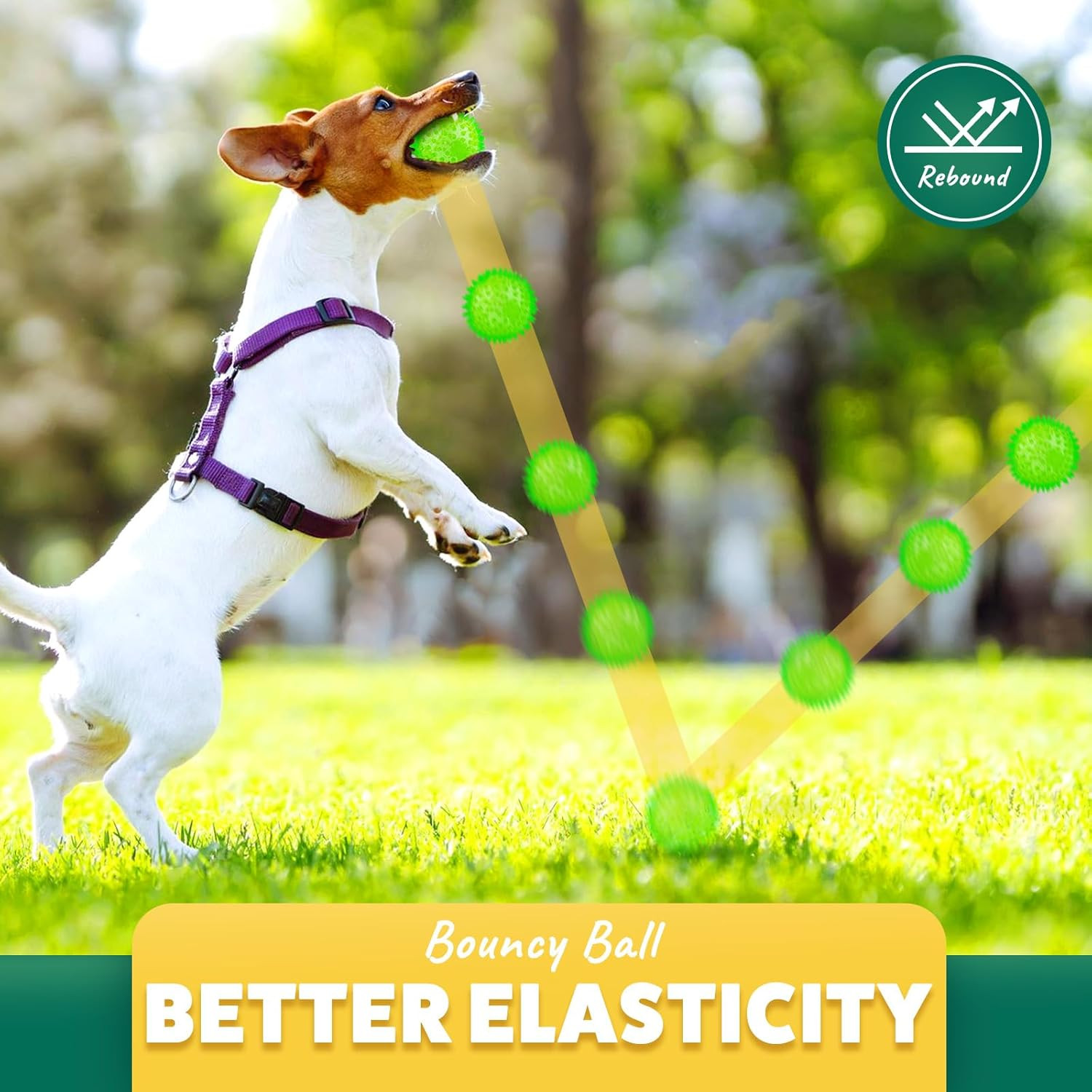 2 Different Functions Interactive Ball for Dogs 2.5&rdquo; Squeaky Dog Balls Toys and 