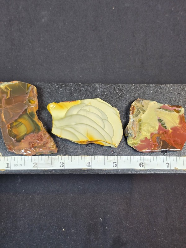 3x Orbed Willow Creek Idaho Jasper Slabs 
