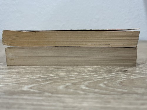 The Gunslinger by Stephen King (1988, First Edition) & The Art of Darkness - Picture 11 of 13