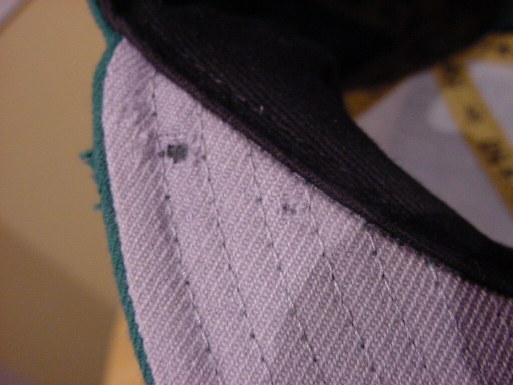 Picture 5 of 8