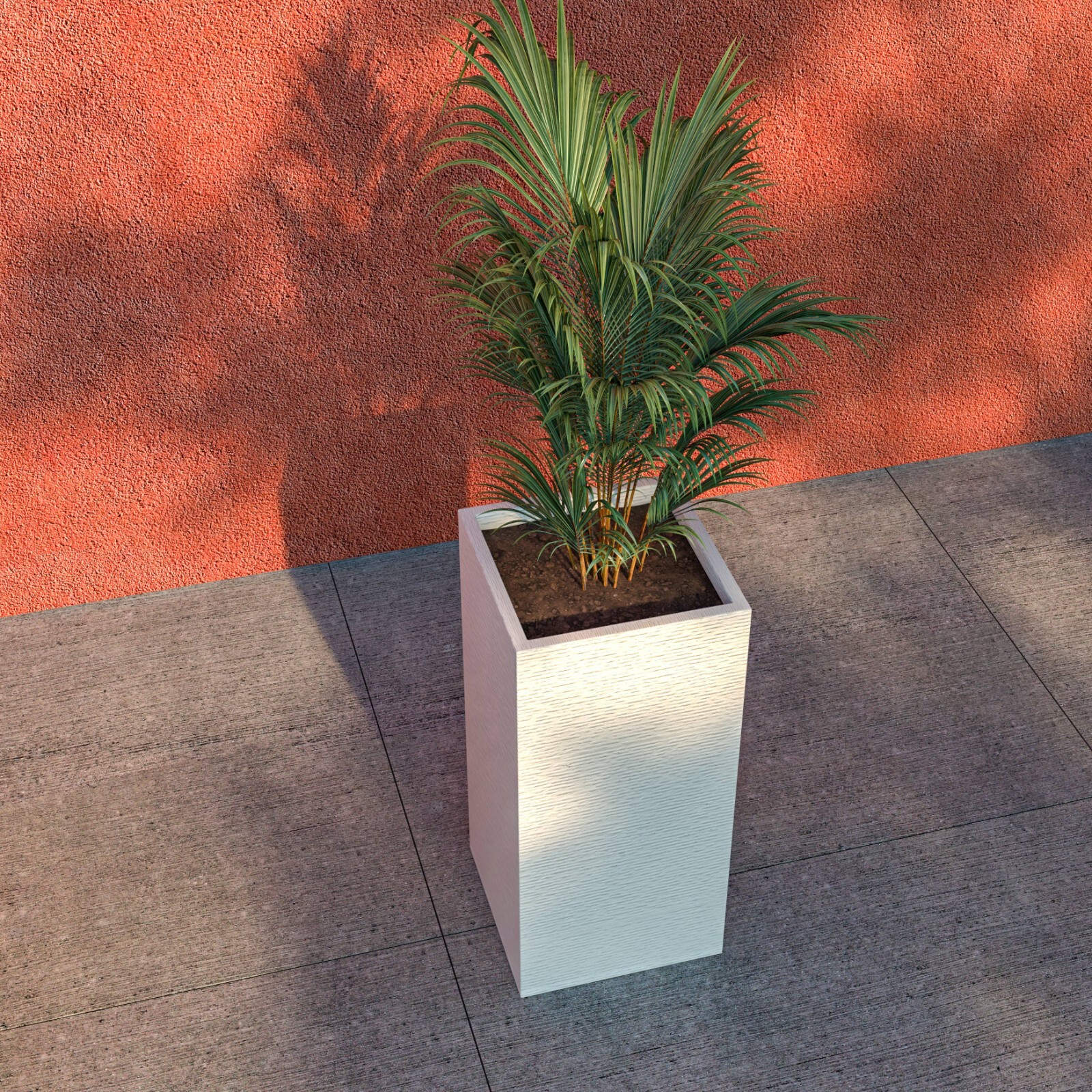 Picture 4 of 19