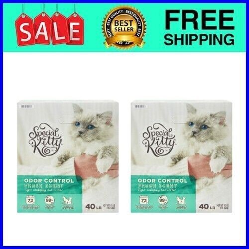 Special Kitty Odor Control Tight Clumping Cat Litter, Fresh Scent, 40 lb 2 Pack