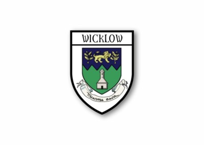 Sticker county shield car vinyl souvenir decal flag caravan crest wicklow