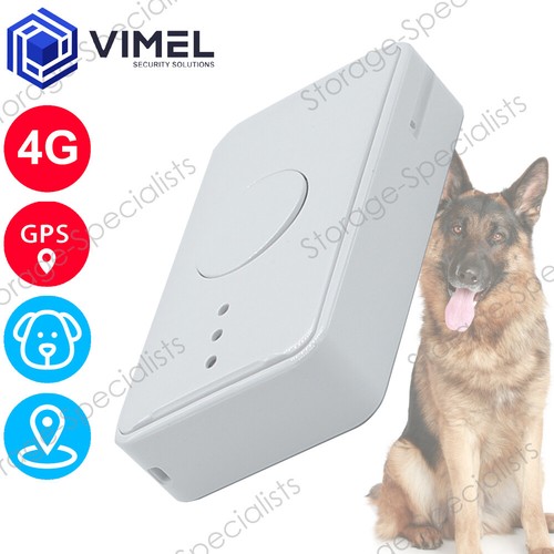 4G Pet Dog GPS Tracker Security GeoFence Neck Collar Outdoor Park eBay