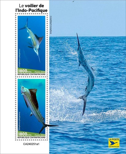 Indo-Pacific Sailfish MNH Stamps 2024 Central African 2 M/S - Picture 2 of 3