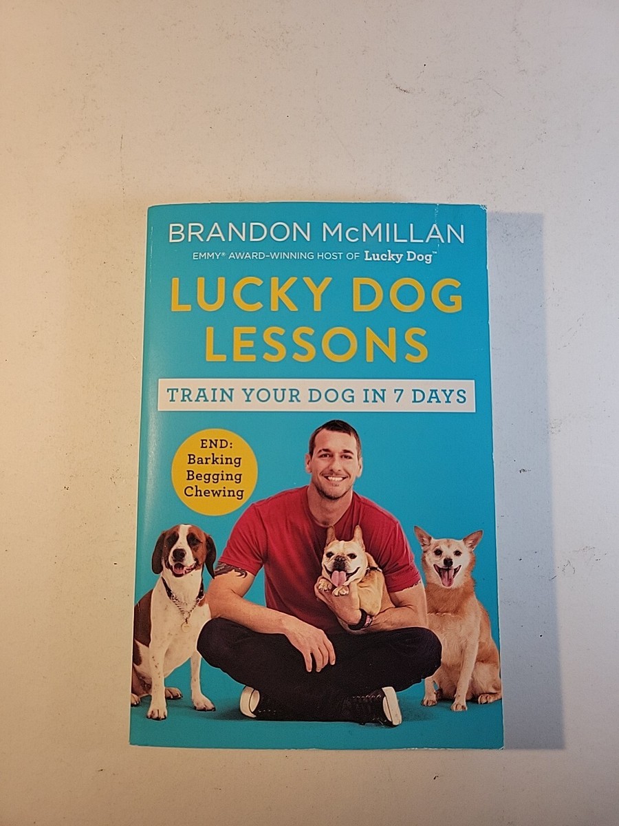 Lucky Dog Lessons From Renowned Expert Dog Trainer and Host