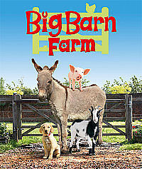 Big Barn Farm Dvd 2008 For Sale Online Ebay