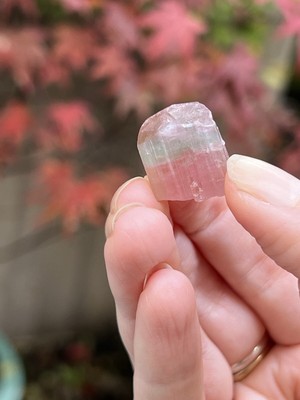 Rosa grüne Wassermelone Turmalin Stab terminiert feines Exemplar Gemmy AAA + 4