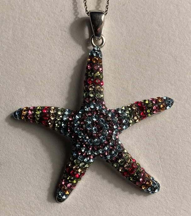 Rainbow Sterling Silver Statfish - image 2