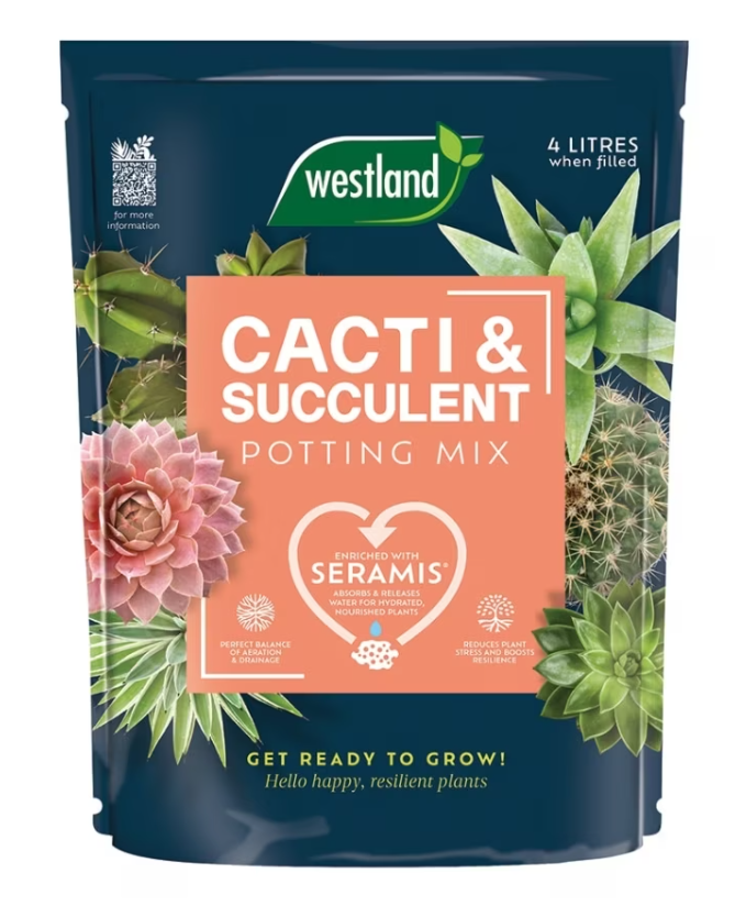 Westland Cacti & Succulent Potting Mix 4L