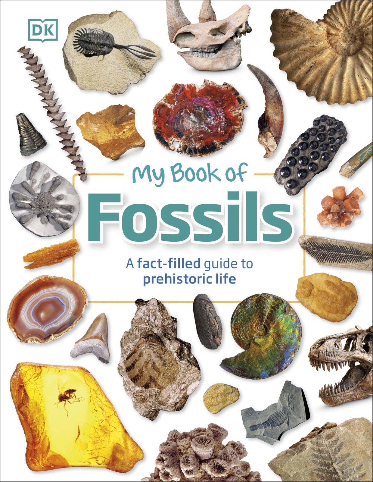 My Book Of Fossils : A Fact-Filled Guide To Prehistoric Life Dk - Image 5