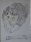 Picture 10 of 12