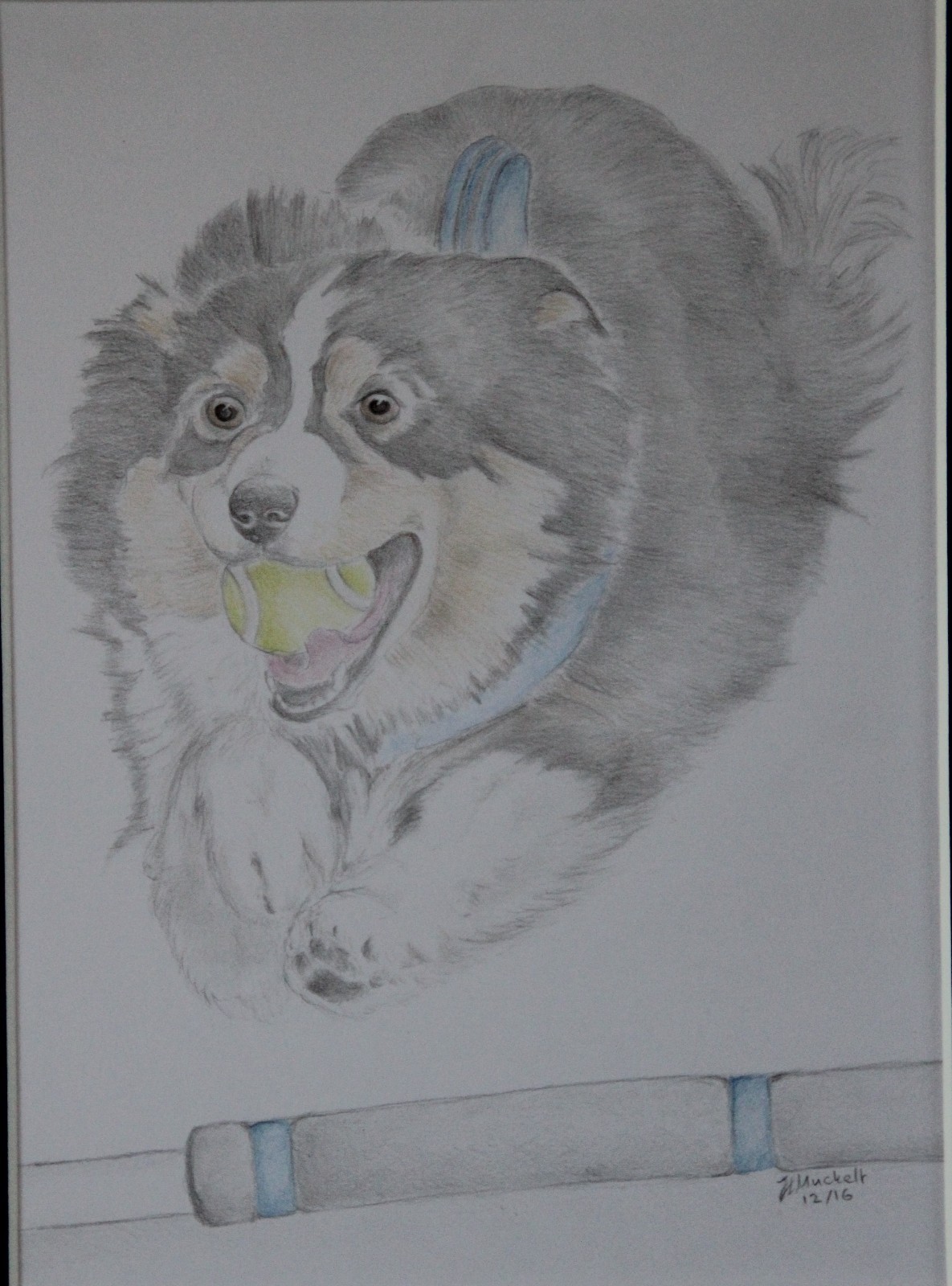 Picture 10 of 12