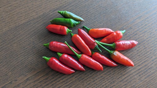 SEEDS- CALABRIAN Pepper Italian Calabrese Spicy Peperoncino piccante - Bild 6 von 6