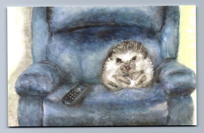 FINALLY, SOME *ME* TIME ~ Hedgehog slouching on couch watching TV ~ A/S Postcard