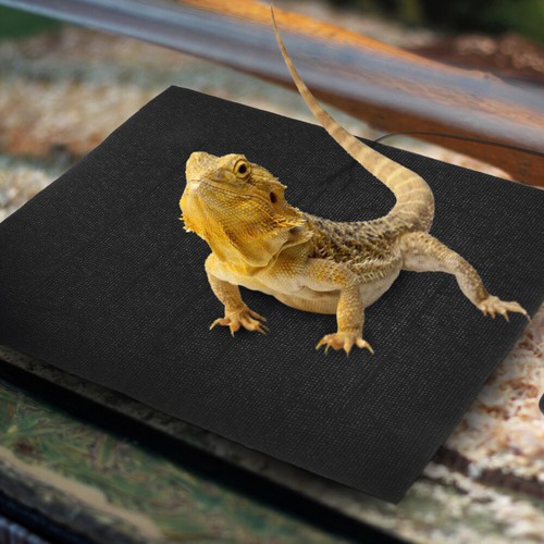 Heating Mat Bird Electric Reptile Heated Cushion Pet Adjustable - Picture 8 of 12