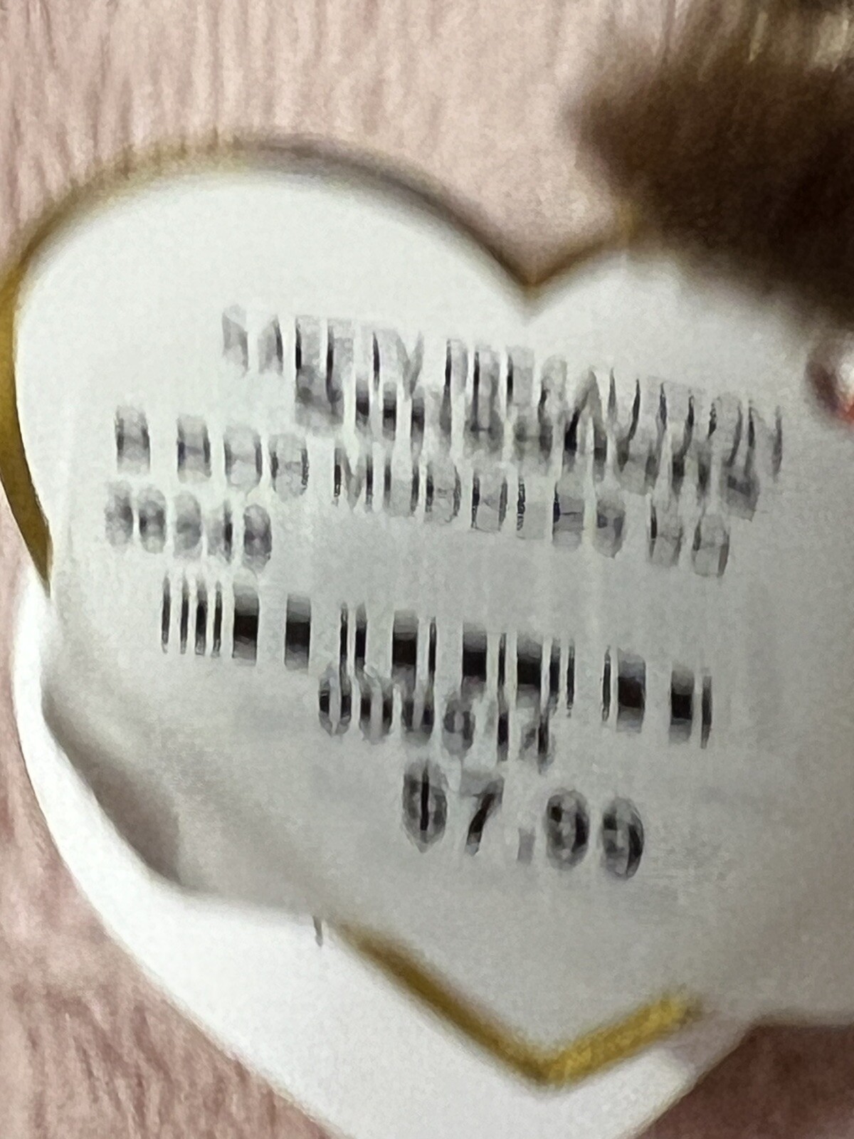 Picture 6 of 6