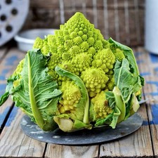 Romanesco Cauliflower 4 Organic Grown Plug Plants Unique Vegetable Garden