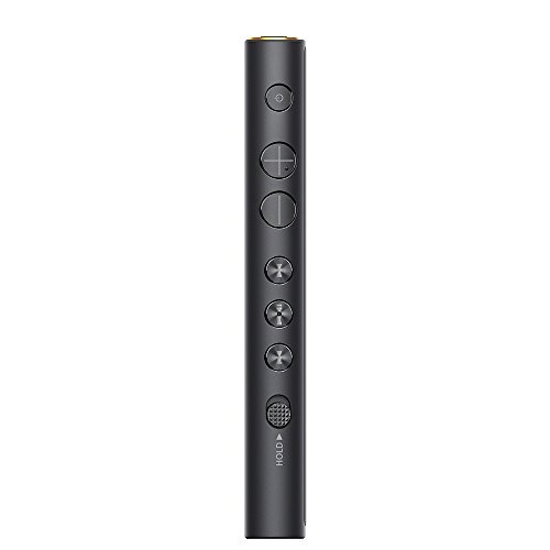 New Sony NW-ZX300 Black Hi-Res Walkman 64GB Digital Music Player Japan - Afbeelding 2 van 5
