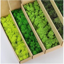 Moos Set, Kunstmoos, Deko-Moos, Innendekoration, Bastelmaterial, 2,25kg