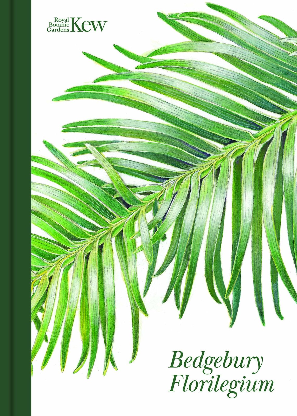 Bedgebury Florilegium by Christina Harrison HARDBACK 9781842468418 - Image 5