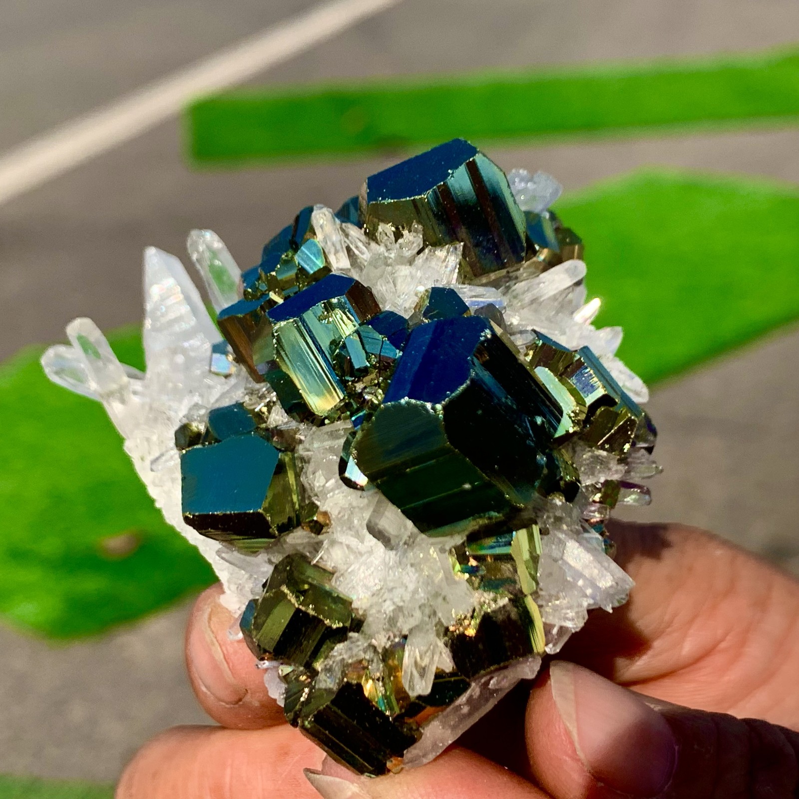 133G Natural colorful chalcopyrite clear Cluster coexisting crystal mineral