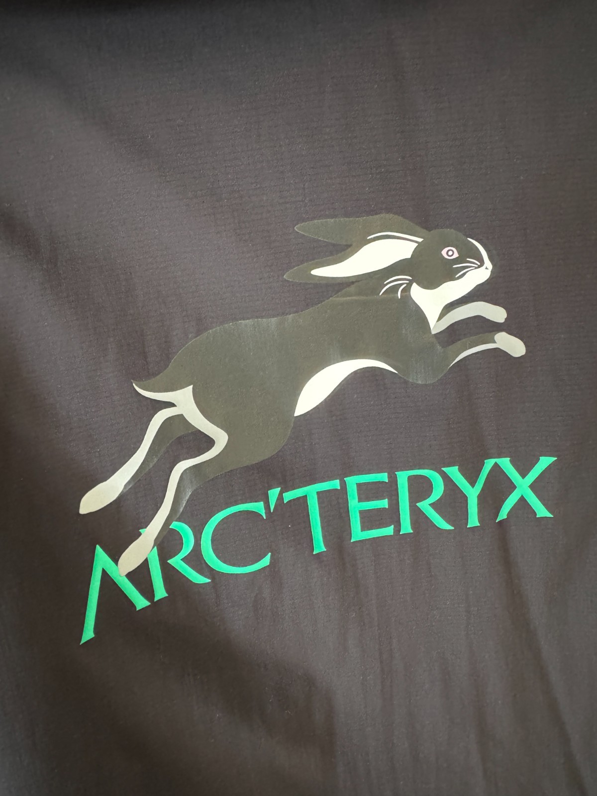 ARC'TERYX Arcteryx LNY LUNAR NEW YEAR ATOM LT FELPA CON CAPPUCCIO UOMO Taglia L Large Coniglio