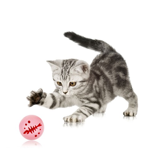 3 Sets Of New Cat Toys Combination Fish Bone Ball Catnip Up Light Bell