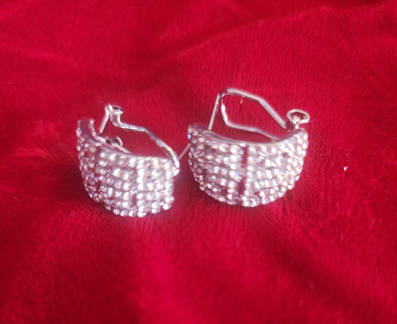 925 Sterling Silver Elegant Women's Earrings-image