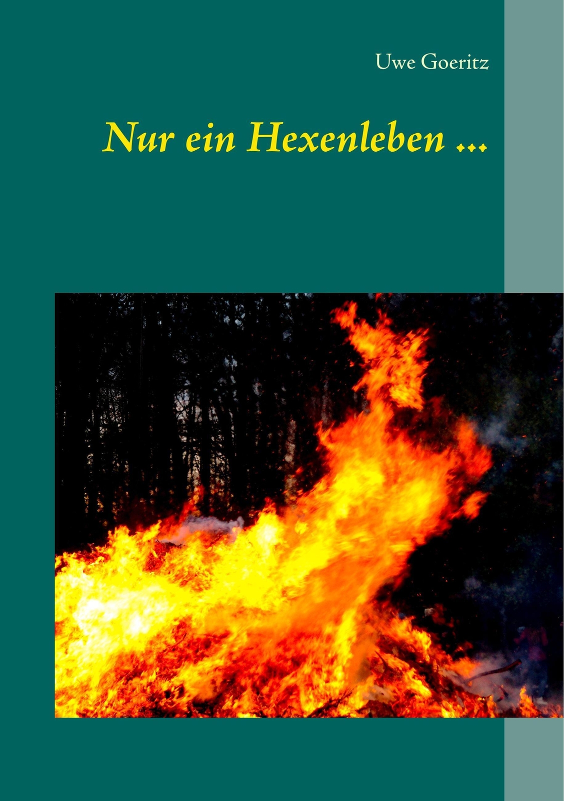 Thumbnail - Nur Ein Hexenleben ... Uwe Goeritz Taschenbuch Paperback 312 S.