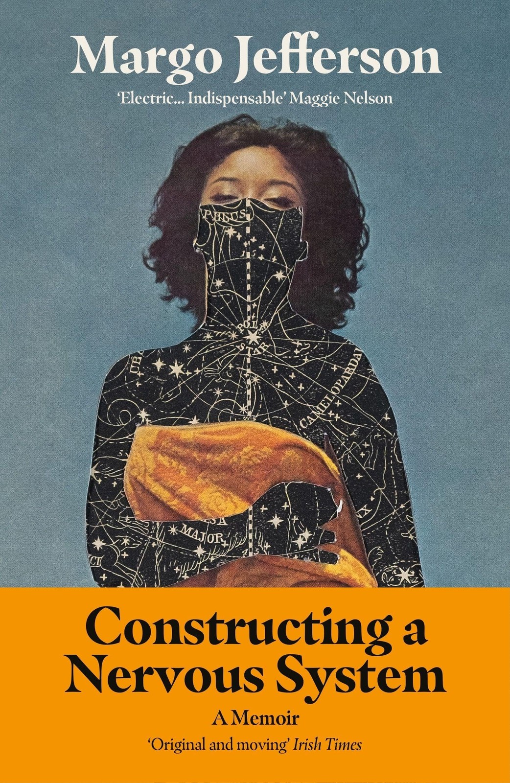 Constructing a Nervous System: A Memoir - Image 8