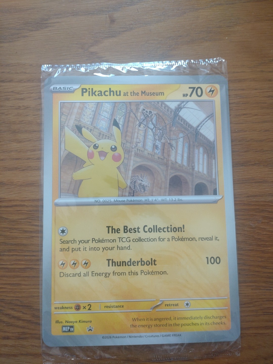 Pokemon Pikachu At The Museum Promo Card