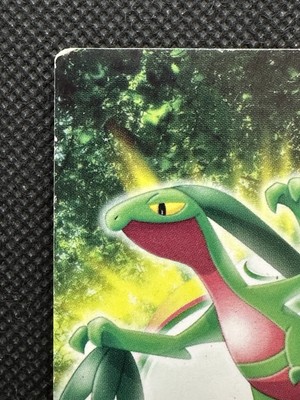 Pokemon Card Grovyle No. 002 Zukan Advanced Generation Japanese